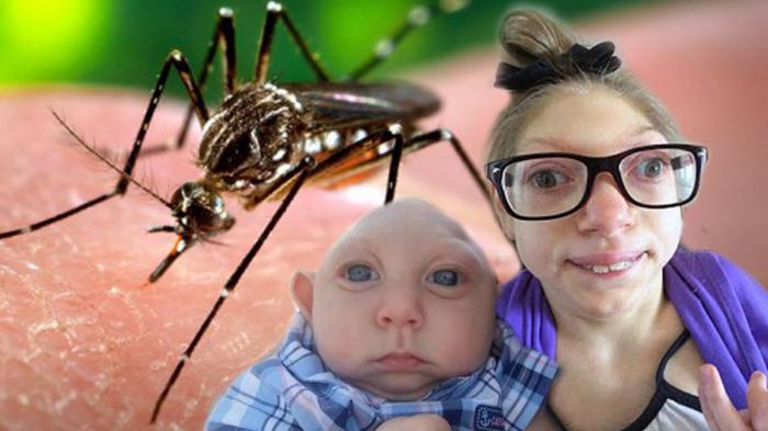5 распространенных болезней, которые переносят комары