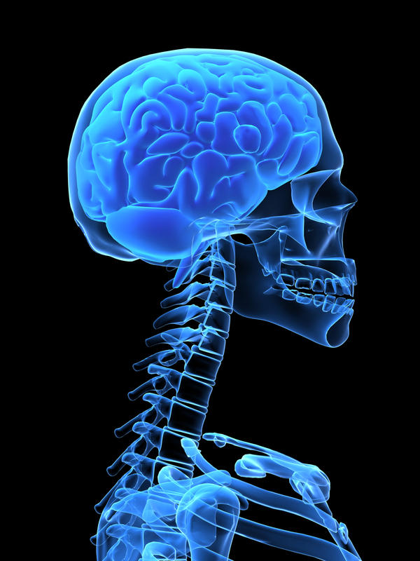 Гематома головного мозга: виды, причины, симптомы, лечение и последствия