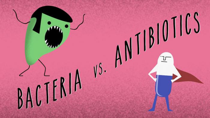 Кровь драконов способна победить устойчивость бактерий с антибиотикам?