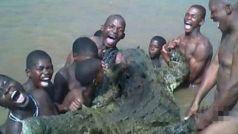 В ЮАР три брата погибли при попытке изнасиловать крокодила