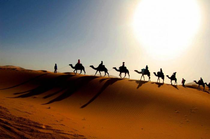 Неужели древние люди повлияли на образование пустыни Сахара?